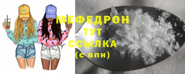 индика Белокуриха