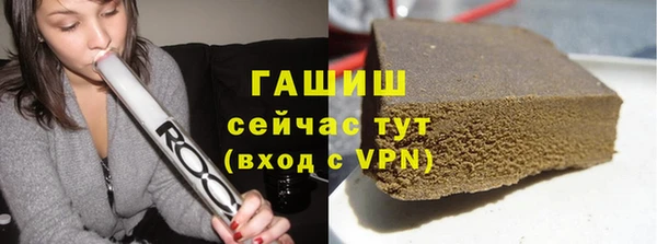 индика Белокуриха