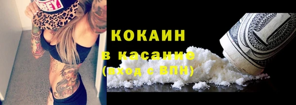 сатива Белоозёрский