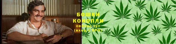 индика Белокуриха