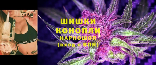 сатива Белоозёрский