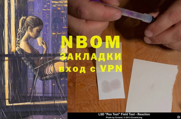 индика Белокуриха