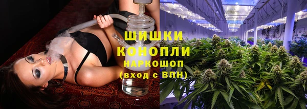 индика Белокуриха
