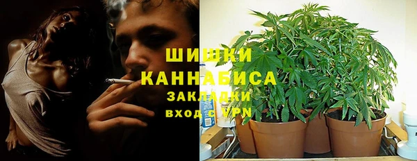 сатива Белоозёрский