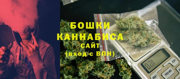 индика Белокуриха