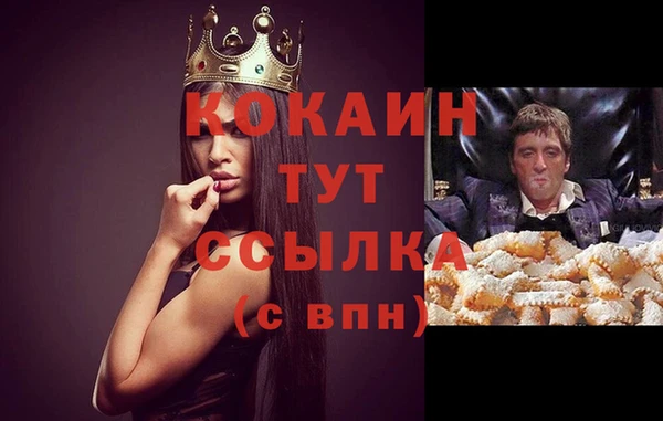 сатива Белоозёрский