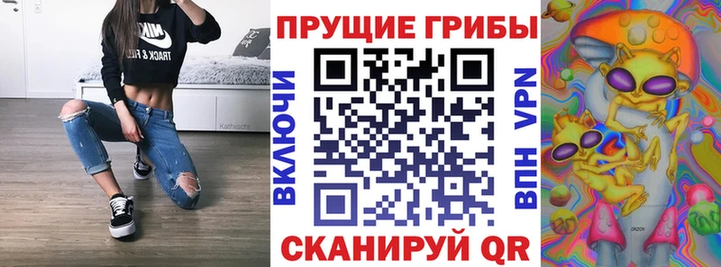 Псилоцибиновые грибы Cubensis  Кстово 