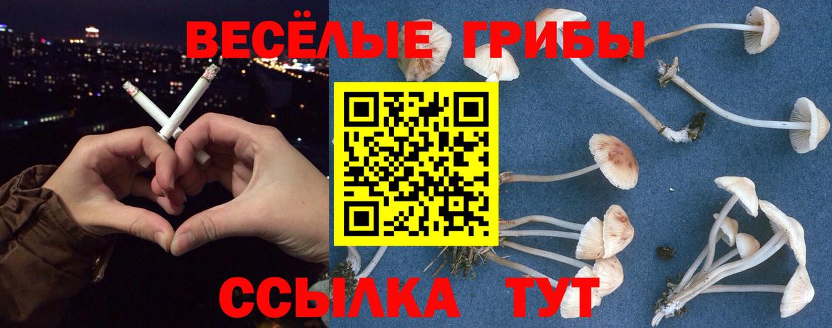 Кстово  Галлюциногенные грибы GOLDEN TEACHER  Вход с VPN  Галлюциногенные грибы MAGIC MUSHROOMS 